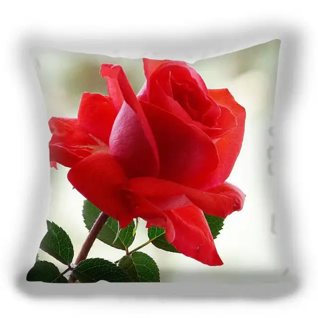 Rdeče Rose cvet Blazine Prevleke Ljubezen prevleke Kvadratnih nekaj mora-imeti blazine pokrov spalnica dekoracijo doma prevleke Slike 1